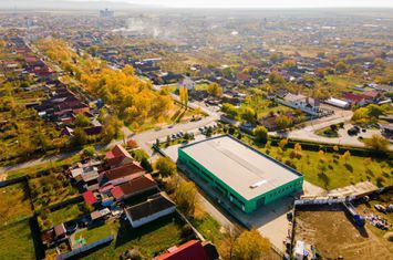 Spațiu industrial de inchiriat EST - Arad anunturi imobiliare Arad