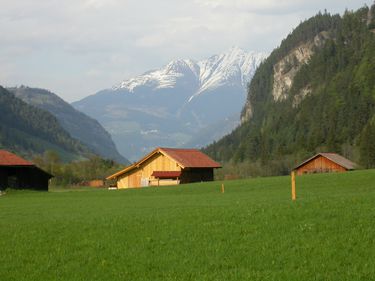 Austria nu intră în faliment