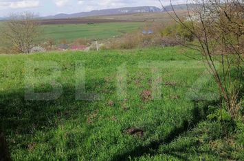 Teren de vanzare TURDA - Cluj anunturi imobiliare Cluj