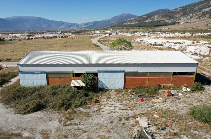 Hala industrială 611 mp în VI.PA. Prosotsanis anunturi imobiliare Grecia