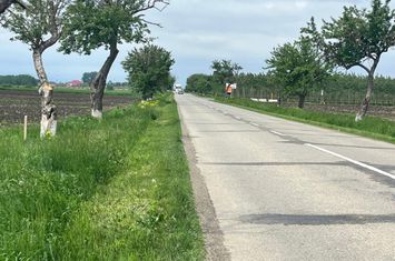 Teren de vanzare RADAUTI - Suceava anunturi imobiliare Suceava