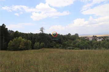 Teren Intravilan de vanzare EXTERIOR EST - Brasov anunturi imobiliare Brasov