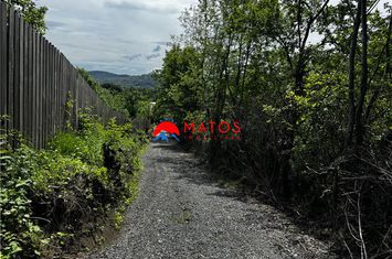 Teren Intravilan de vanzare CORNU - Prahova anunturi imobiliare Prahova