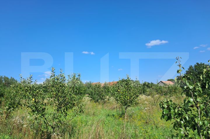Teren de vanzare CLUJ-NAPOCA - Cluj anunturi imobiliare Cluj