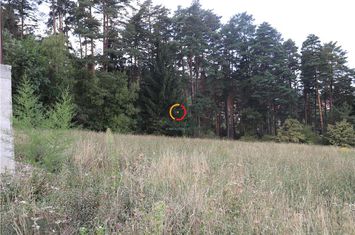 Teren Intravilan de vanzare SACELE - Brasov anunturi imobiliare Brasov