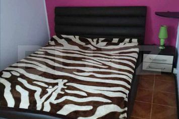 Apartament 2 camere de inchiriat IASI - Iasi anunturi imobiliare Iasi