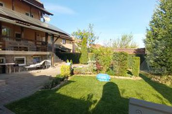 Vilă - 7 camere de vanzare CETATE - Alba anunturi imobiliare Alba