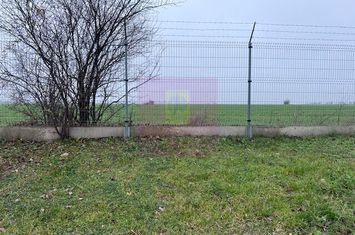 Teren Domnesti- Depozit Altex, Emag. anunturi imobiliare Bucuresti