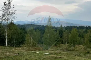 Teren extravilan parcelabil Călățele Pădure, zona Dealu Negru anunturi imobiliare Cluj