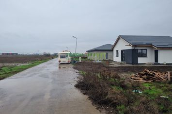 LOTURI REZIDENTIALE - DN 4- POPESTI - FRUMUSANI anunturi imobiliare Calarasi