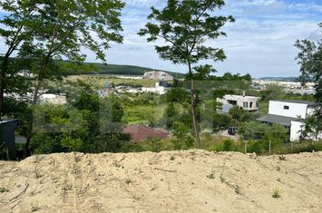 Teren de vanzare CORUNCA - Mures anunturi imobiliare Mures