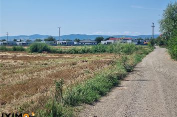 Teren Intravilan de vanzare CENTRAL - Bacau anunturi imobiliare Bacau