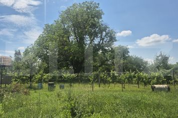 Teren de vanzare AMBUD - Satu Mare anunturi imobiliare Satu Mare