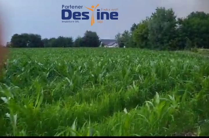 Teren de vanzare BOTOSANI - Botosani anunturi imobiliare Botosani