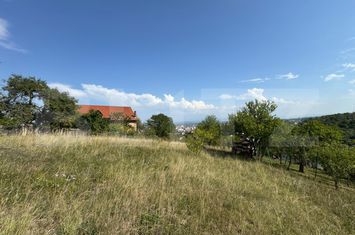 Teren de vanzare DEVA - Hunedoara anunturi imobiliare Hunedoara