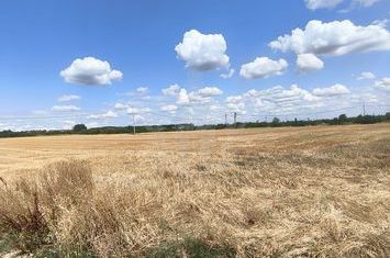 TEREN COCOSESESTI//INTRAVILAN anunturi imobiliare Prahova