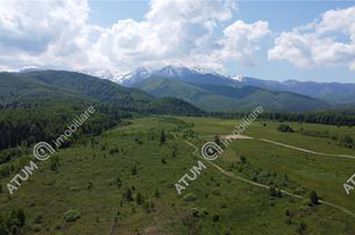 Teren Intravilan de vanzare AVRIG - Sibiu anunturi imobiliare Sibiu