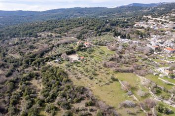 Teren construibil 14.922 mp, Theologos (Thassos) anunturi imobiliare Grecia