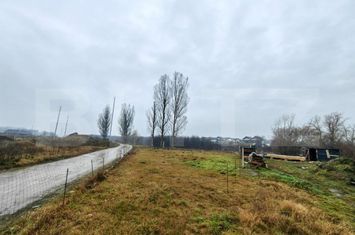 Teren de vanzare ALBA IULIA - Alba anunturi imobiliare Alba