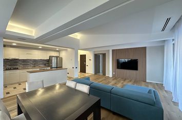 Penthouse 247 mp Drumul Lapus Padurea Baneasa anunturi imobiliare Bucuresti
