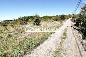 Teren intravilan 16.500mp 50euro mp deschidere de 82m la E60 anunturi imobiliare Mures