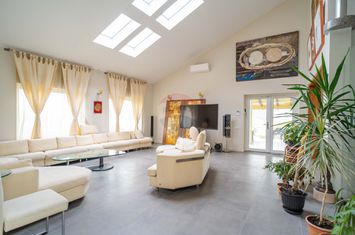 Casă / Vilă cu 10 camere, de vânzare. Todireni, Botoșani. anunturi imobiliare Botosani