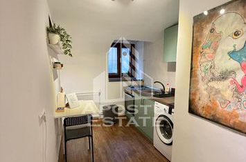 Apartament 1 camera, cladire istorica, petfriendly, Zona Semicentrala anunturi imobiliare Timis