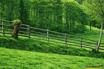 Teren Intravilan de vanzare BRAN - Brasov anunturi imobiliare Brasov