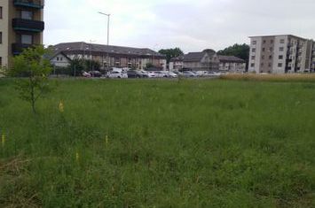 Teren de vanzare TRACTORU - Brasov anunturi imobiliare Brasov