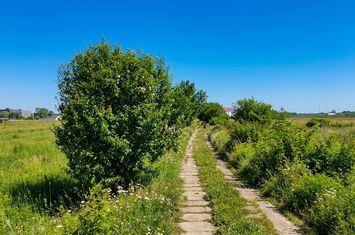 Foto 3 Teren Bragadiru langa A0 - PUZ aprobat, vizibilitate autostrada anunturi imobiliare Bragadiru