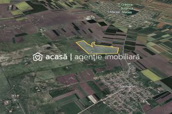 Teren 42 ha pentru parc fotovoltaic – Macea, Arad anunturi imobiliare Arad