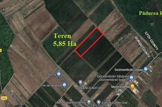Teren Intravilan de vânzare Giurgiu - Sabareni