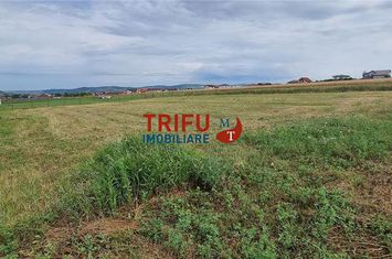 Teren Intravilan de vanzare CENTRAL - Alba anunturi imobiliare Alba