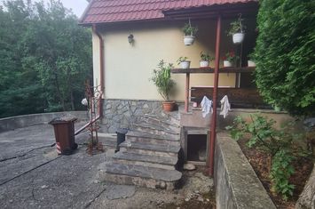 Casă de vacanță de vânzare în Cornu - Zona Cornu de Sus anunturi imobiliare Prahova
