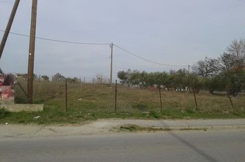 Teren construibil 770 mp în Nigrita (centru) anunturi imobiliare Grecia