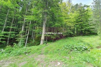 Teren intravilan de vanzare in Sinaia - Zona Furnica anunturi imobiliare Prahova