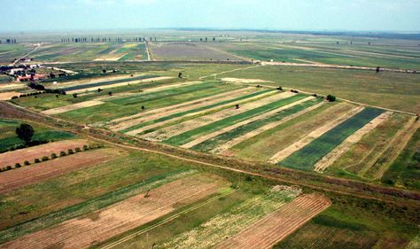 Cresc impozitele pentru terenurile agricole, de la începutul lui 2011