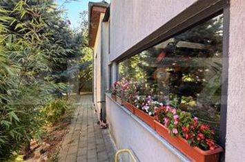 Vilă - 3 camere de vanzare 1 MAI - Dolj anunturi imobiliare Dolj
