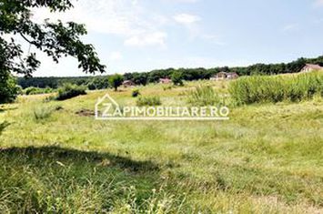 Teren 9.600 mp.17 euro mp deschidere la drum 200 m. anunturi imobiliare Mures