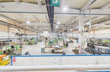 Hală industrială modernă, Șagului anunturi imobiliare Timis