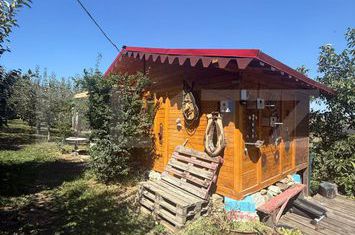 Teren de vanzare SUCEAVA - Suceava anunturi imobiliare Suceava