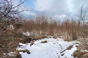 Vanzare teren intravilan - 3682 mp. - Mozaceni - Sat Dumbraveni anunturi imobiliare Arges