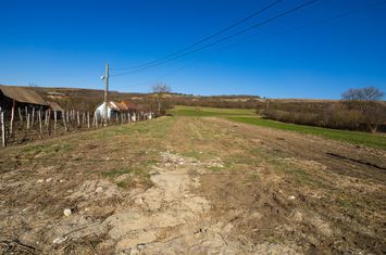 Teren de vanzare RUSI - Sibiu anunturi imobiliare Sibiu