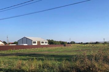 Teren de vanzare RADAUTI - Suceava anunturi imobiliare Suceava