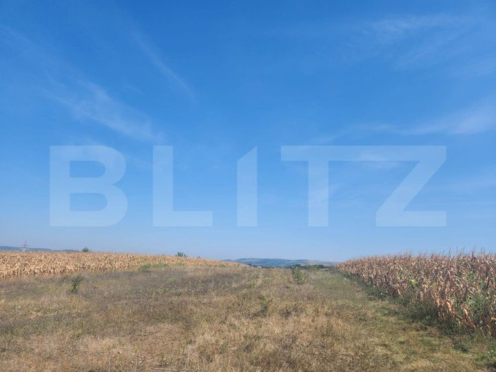 Teren de vanzare ALBA IULIA - Alba anunturi imobiliare Alba