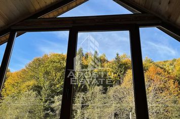 Cabana de inchiriat in Apuseni, Ciubar, Fara vecini, Foisor, Atv anunturi imobiliare Alba