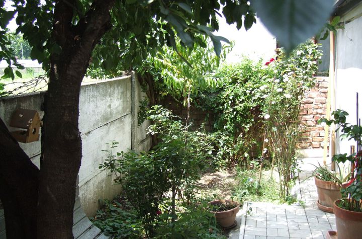 Giurgiului- Nufarul Galben anunturi imobiliare Bucuresti