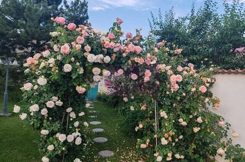 Vila superba in stil mediteranean Saftica- Corbeanca-  COMISION 0. anunturi imobiliare Bucuresti