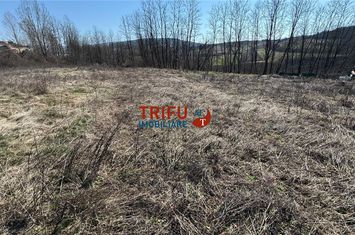 Teren Intravilan de vanzare TELEAC - Alba anunturi imobiliare Alba