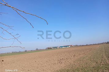 Teren Intravilan de vanzare BIHARIA  - Bihor anunturi imobiliare Bihor